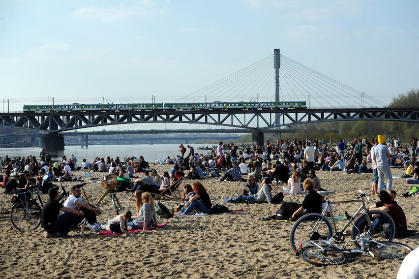 Nowe gatunki nad Wisłą: kiepówka plamista i butlodziób...