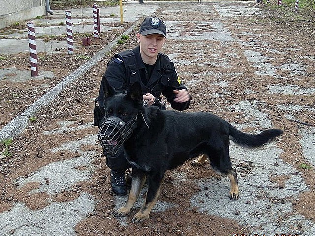 EPAN, policyjny pies patrolowo-tropiący od blisko dwóch...