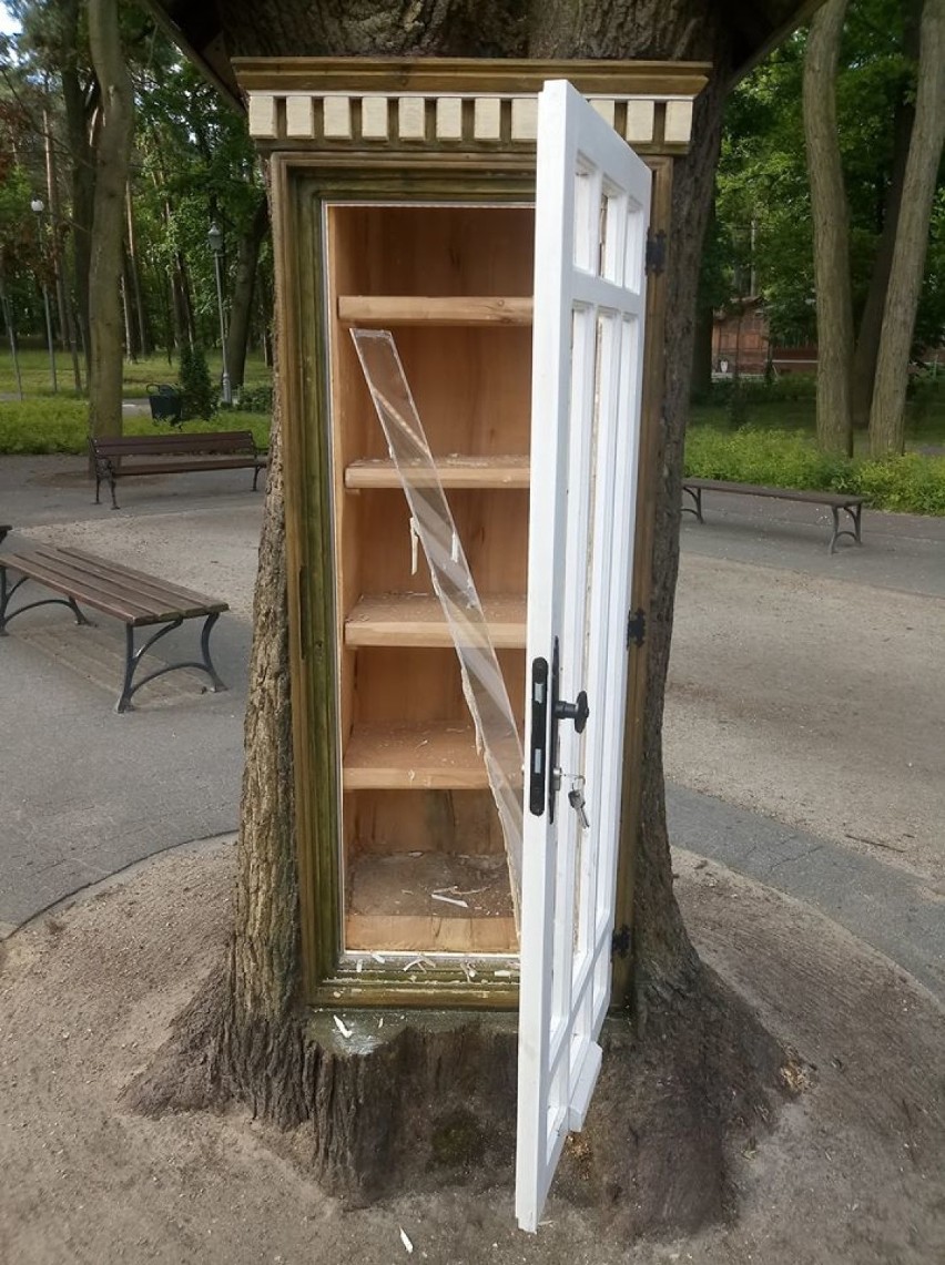 Biblioteczka w parku miejskim w Grudziądzu zniszczona