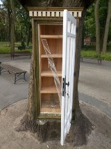Biblioteczka w parku miejskim w Grudziądzu zniszczona