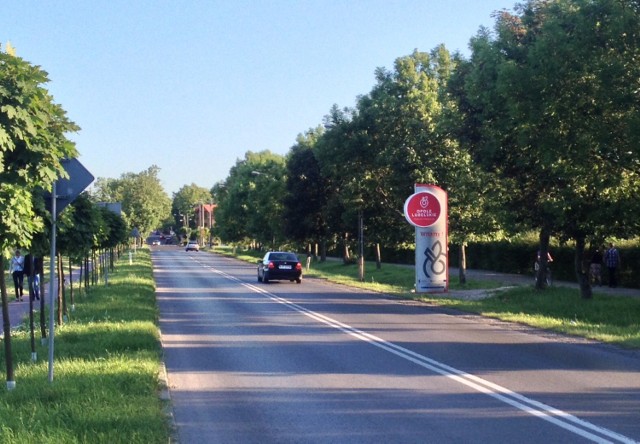 Podobają Wam się nowe witacze, które stanęły przy drogach wjazdowych do Opola Lubelskiego?