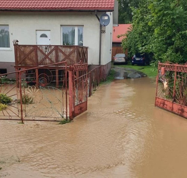 Interwencje w miejscowości Krze