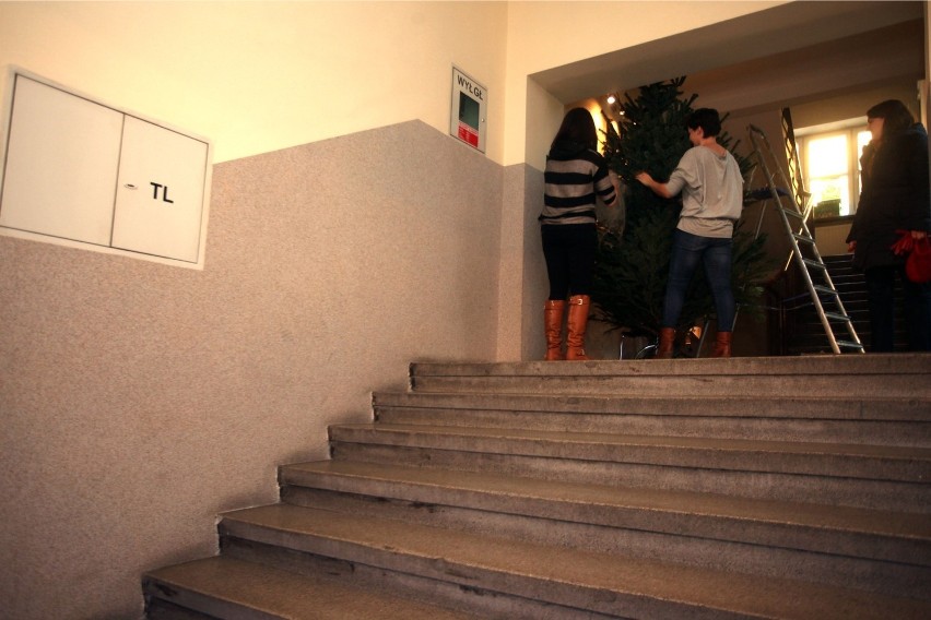 Wejście do Instytutu Języka Polskiego PAN. Tu padły strzały.
