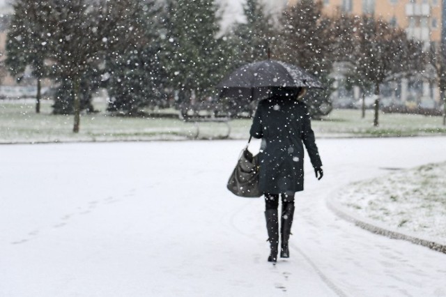 Śnieg w poniedziałek spadł i stopniał