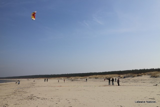 Gm. Stegna. Latawce Nadziei na plaży w Mikoszewie