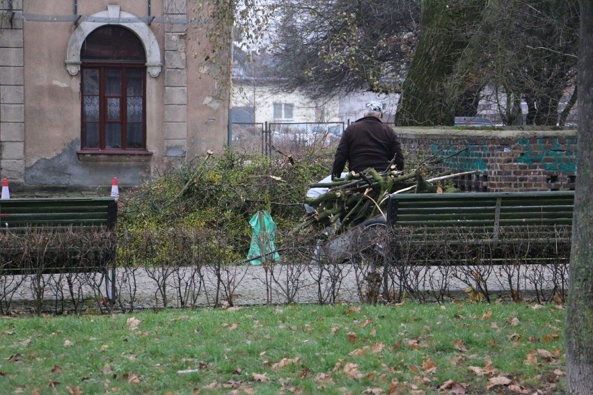 Już drugi raz arboryści z firmy Drzewonauta odwiedzili...