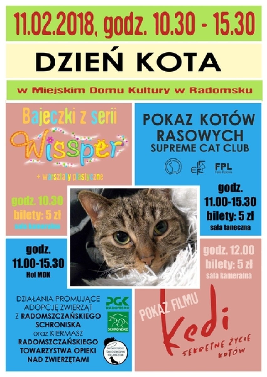 Dzień Kota w Radomsku - wystawa kotów rasowych, kiermasz i adopcje za złotówkę