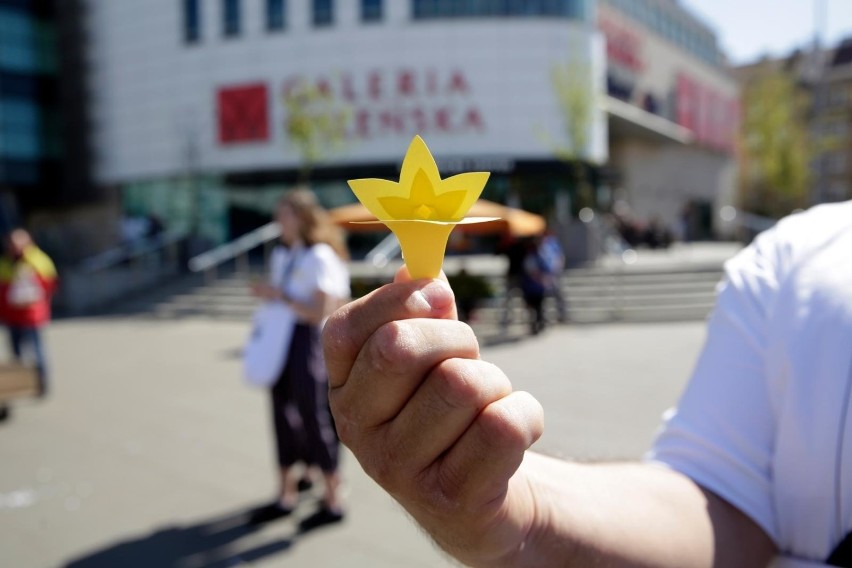 Akcja Żonkile 2019, Warszawa. Żółte kwiaty pojawiły się na...