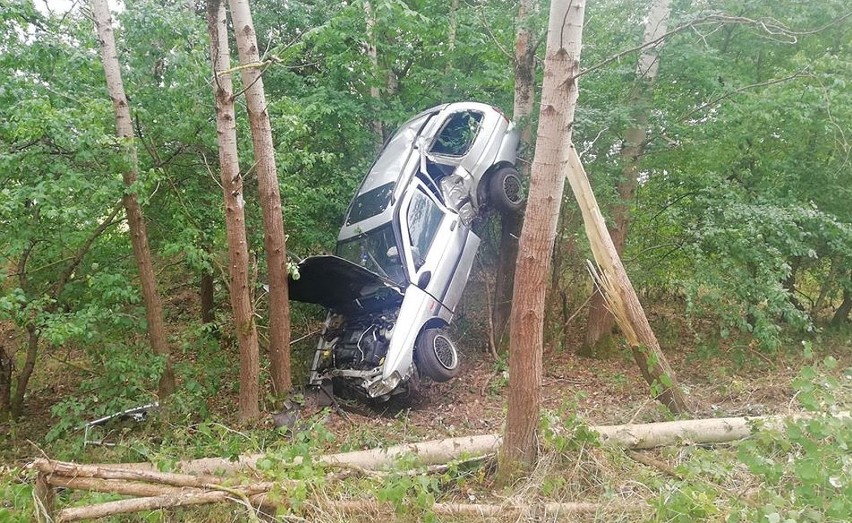 Do wypadku doszło na przecinającej Puszczę Notecką drodze...