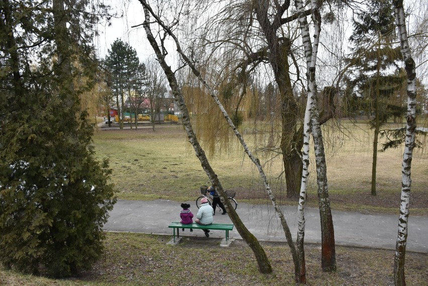 Wkrótce rozpocznie się przebudowa Parku Miejskiego w Chełmie
