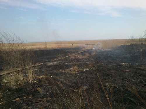 W Kątach Rybackich paliła się trzcina. Strażacy z OSP Sztutowo musieli gasić ogień [ZDJĘCIA]