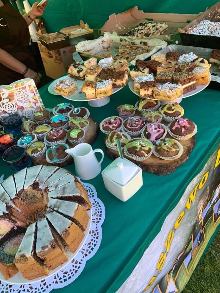 Krępkowice. W dworku odbył się "Piknik pod Lipą" jako część Festiwalu Dworów i Pałaców Północnych Kaszub