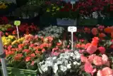 Handel na targowisku w Kościerzynie kwitnie! Królowały bajeczne kwiaty i krzewy