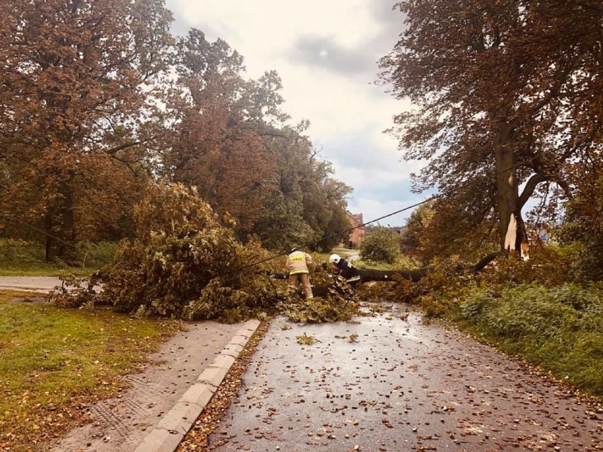 Wichura w powiecie ostrowskim: powalone drzewa, uszkodzone dachy, zablokowane drogi, brak prądu...
