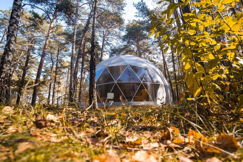 Planeta Glamping. Niepowtarzalne miejsce na odpoczynek pod Warszawą. Tam spędzisz noc w środku sosnowego lasu, ale w hotelowych warunkach