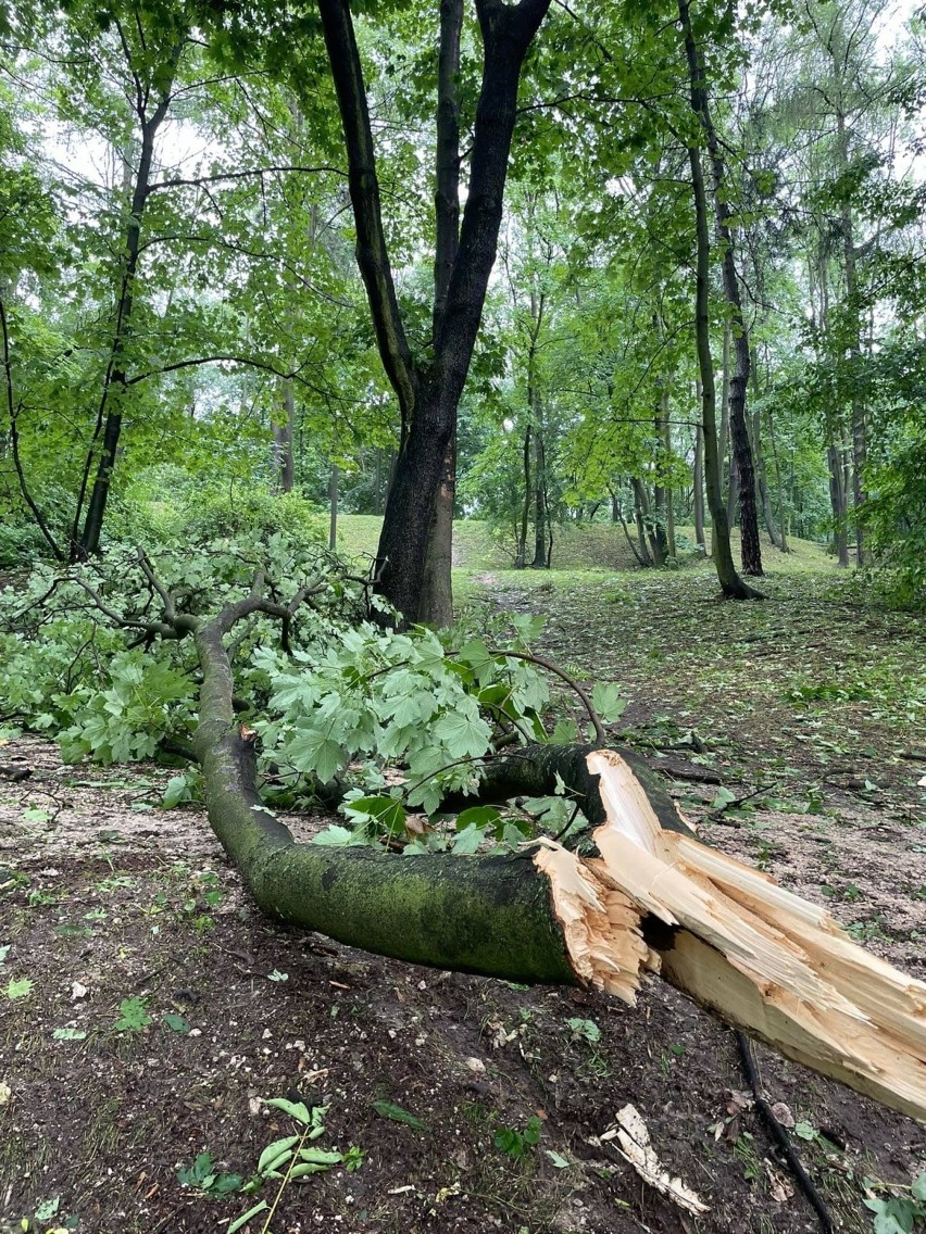 Kraków. Fatalny krajobraz miasta po burzy! Zalane ulice, połamane drzewa... [ZDJĘCIA]