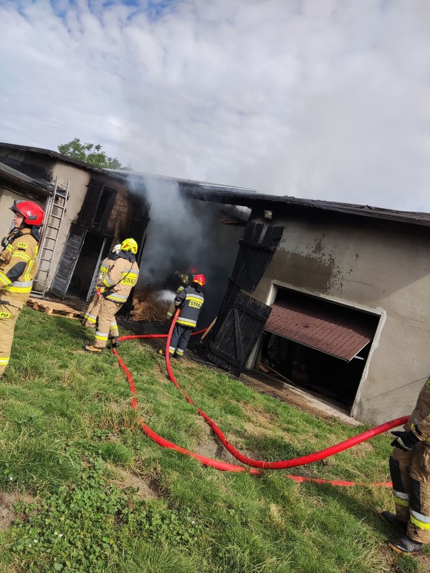 Pożar w gminie Lgota Wielka. Spaliła się stodoła. ZDJĘCIA