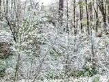 Foto powiat pucki: 9 maja wróciła zima. Wiosną spadł śnieg | ZDJĘCIA, WIDEO