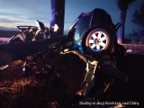 Wypadek na DK 22. Samochód roztrzaskał się o drzewo w Żabczynie. Zginęło trzech Ukraińców. Jaka była przyczyna wypadku? 