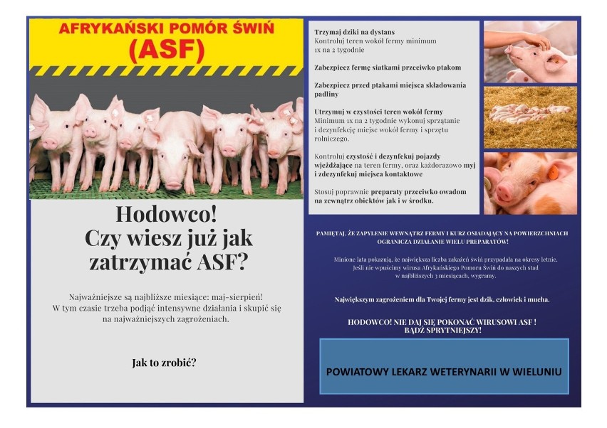 Jak chronić gospodarstwo przed ASF?