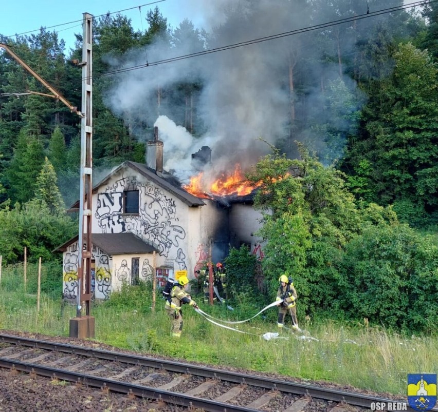 Pożar w pobliżu stacji PKP Reda - Pieleszewo (10.07.2022) | ZDJĘCIA