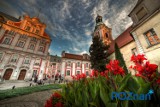 Wyjątkowe zdjęcia Poznania: Wydrukuj sobie fotoobraz albo plakat! Ile to kosztuje? [ZOBACZ]