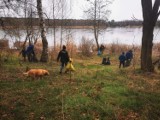 Babimost. W sobotę zebrali pół tony śmieci wokół jeziora! To nie ostatnia taka inicjatywa mieszkańców Kolesina