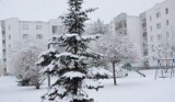 Jak wyglądają lubelskie miasta w zimowej scenerii? Zobacz zdjęcia