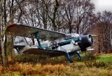 Samolot AN-2 Lubelskiego Aeroklubu stoi w krzakach i niszczeje