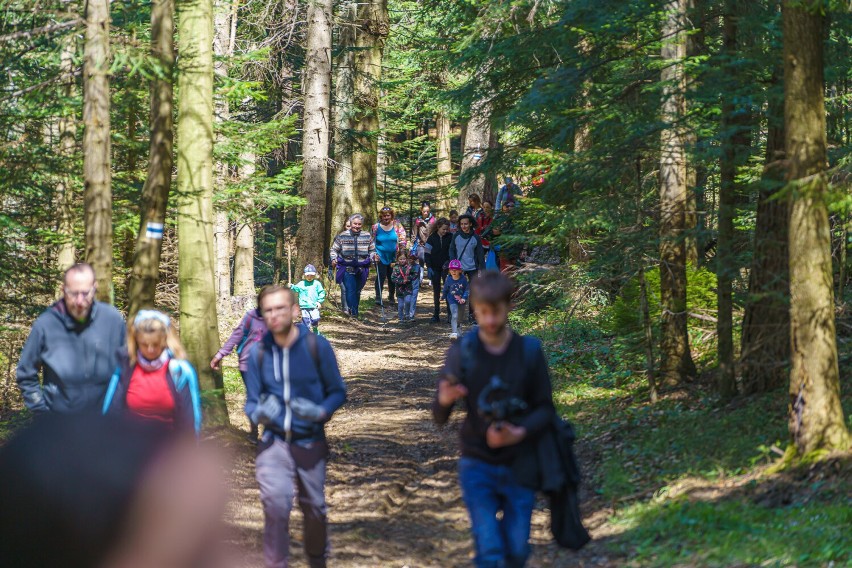 Sądecczyzna. Wolontariusze wspólnie posprzątali 80 km górskich szlaków [ZDJĘCIA]