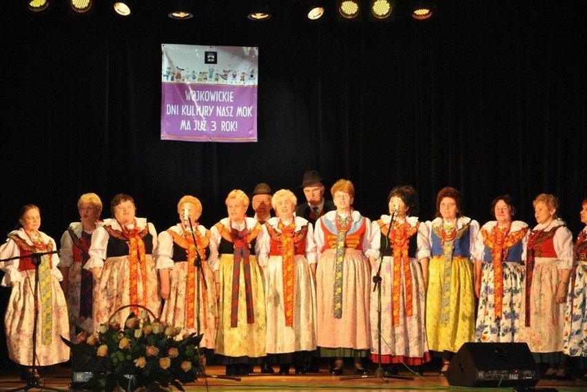 Koncert IRY w Wojkowicach uświetnił 3 urodziny MOK-u [ZDJĘCIA, FILM]