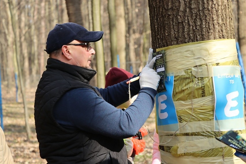 Kraśnik. Sprzątanie lasu już za nami. W porządkach wzięło udział ponad 100 osób. Zobacz zdjęcia