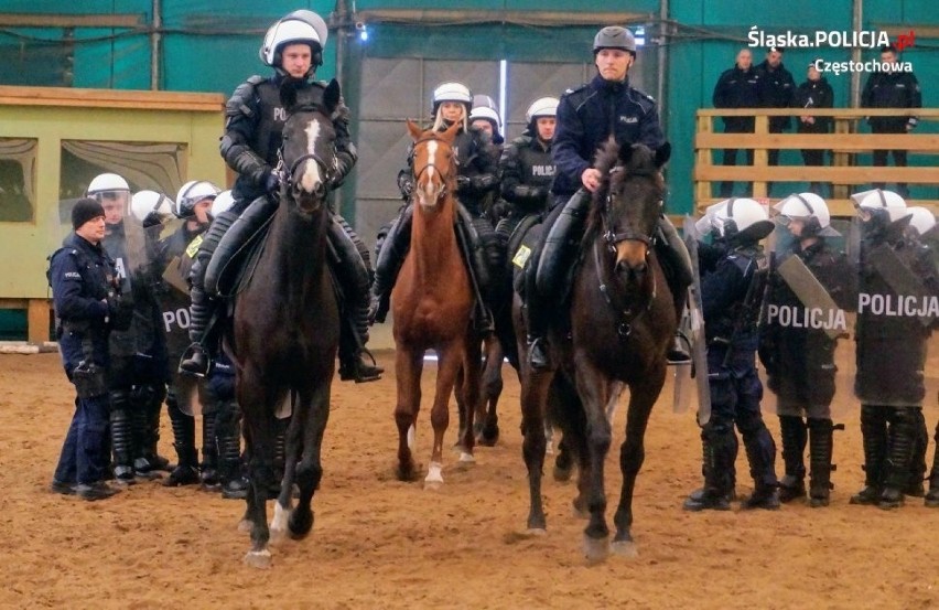 Cztery konie zdały policyjne egzaminy i mogą rozpocząć służbę w częstochowskiej i chorzowskiej policji [ZDJĘCIA]