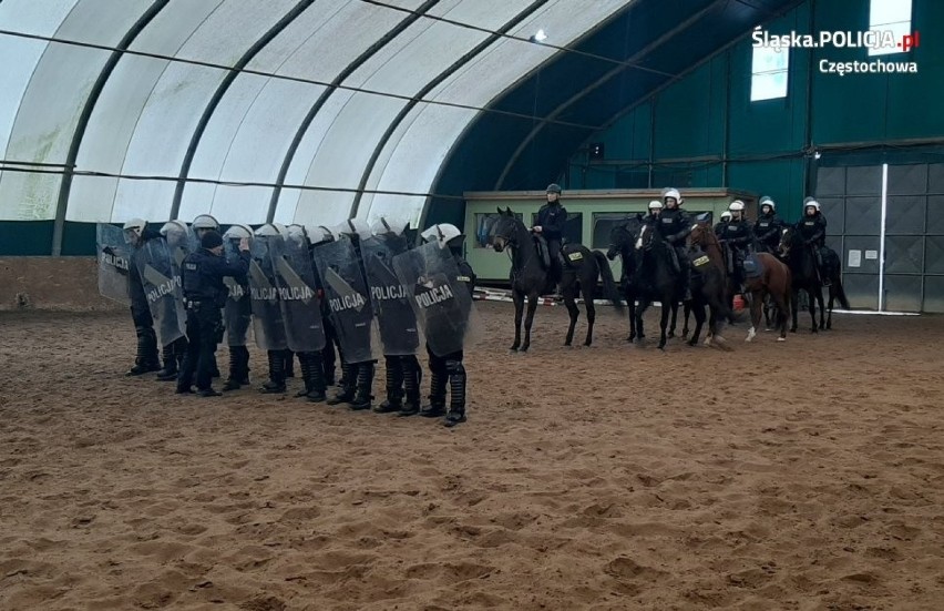 Cztery konie zdały policyjne egzaminy i mogą rozpocząć służbę w częstochowskiej i chorzowskiej policji [ZDJĘCIA]