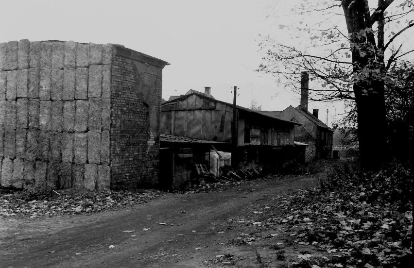 Niezwykle smutny Szczecinek w latach 80. XX wieku na zdjęciach Czytelnika. Lipowa jak skansen [zdjęcia]