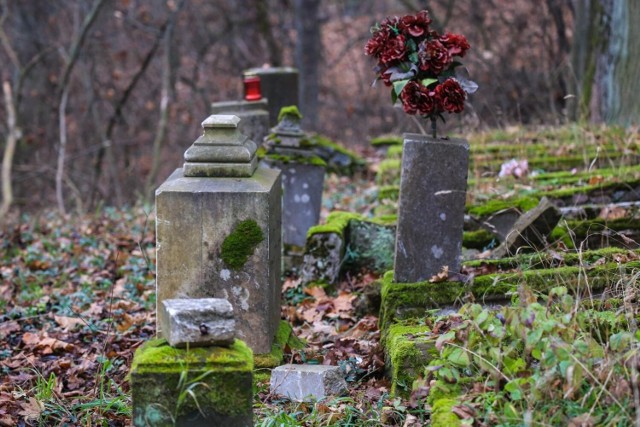 Rodzina von Treskow była jedną z najważniejszych w tym regionie Wielkopolski na przełomie XIX i XX wieku. Do ich majątku należały wielkie włości w Radojewie, Morasku, Biedrusku czy Owińskach, gdzie po dziś dzień stoi ich dobrze utrzymany pałac. Ten w Radojewie niestety jest w dużo gorszym stanie. Przejdź do kolejnego zdjęcia --->