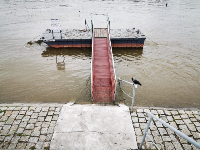 Fala powodziowa sukcesywnie przesuwa się na północ i dotarła wczoraj do Warszawy. Zgodnie z komunikatami z Urzędu Miasta poziom wody zbliżył się do stanu ostrzegawczego i przekroczył 5 metrów. Zobaczcie, jak teraz wygląda Bulwar Filadelfijski.
