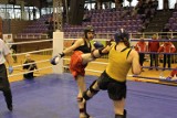 Kickboxing: Mistrzostwa K-1 juniorów i młodzieżowców w Głogowie - Półfinały (ZDJĘCIA)