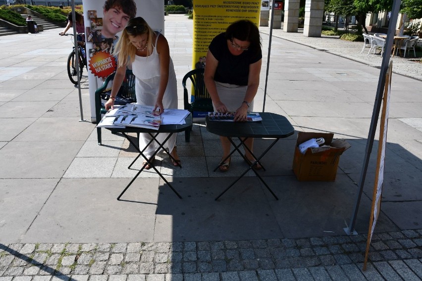 Ochotnicze Hufce Pracy oferowały w Kielcach dobrą pracę na wakacje. Zobacz gdzie i za ile  