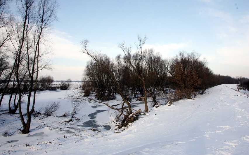 Wilków: Mieszkańcy boją się, że wały znów puszczą