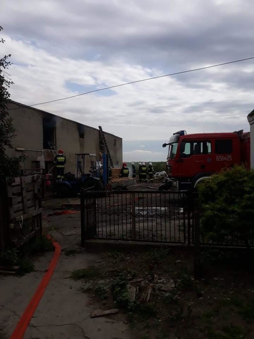 Gmina Września: Pożar w budynku gospodarczym. W środku były trociny [FOTO] 