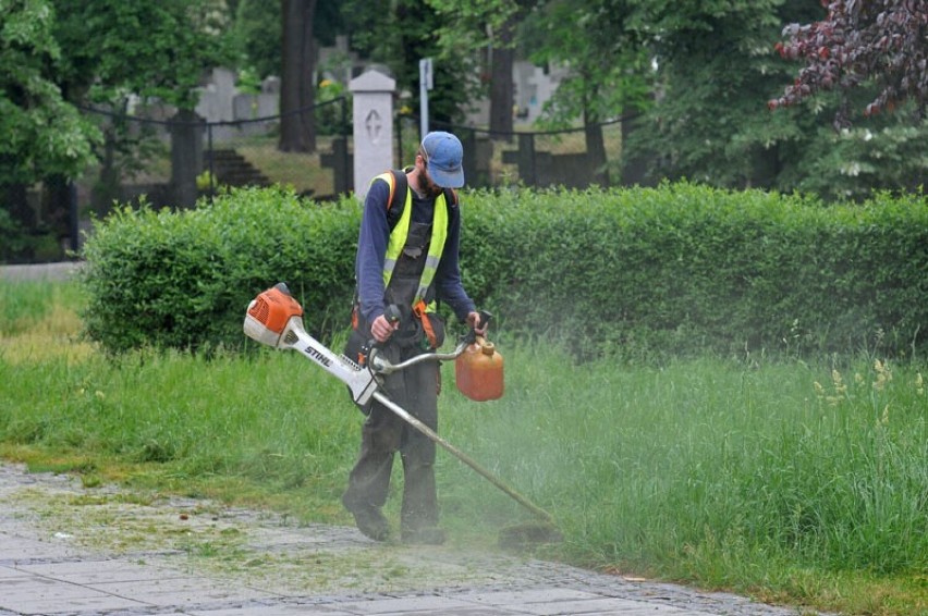 Koszenie trawy przy ul. Grudziądzkiej