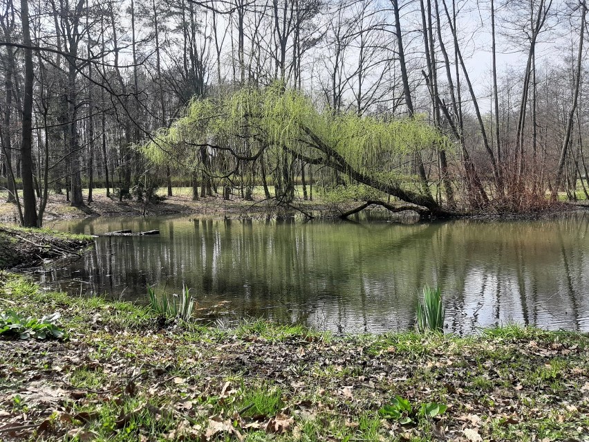 Dolina Trzech Stawów w Katowicach