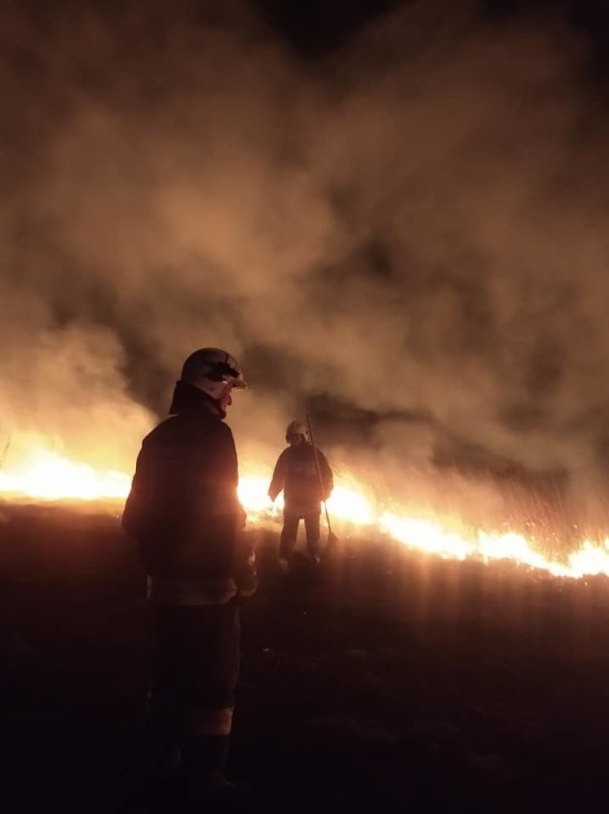 Pożar traw w miejscowości Dratów (powiat łęczyński). W ciągu...