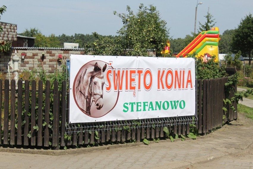 Święto Konia Stefanowo 2018. Część I