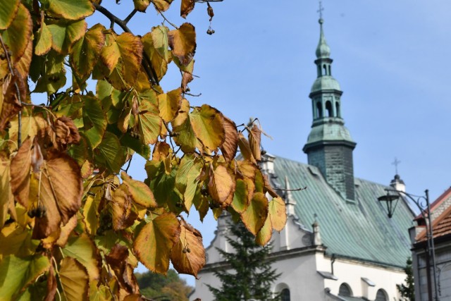 Ciepła jesień 2023 w Pińczowie. Tak wyglądało miasto 24 października. >>>Więcej zdjęć na kolejnych slajdach. 