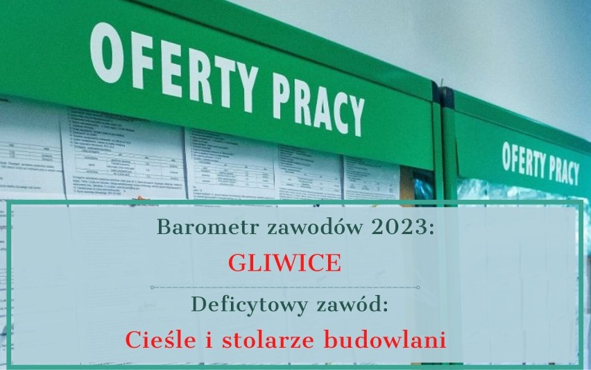 Zobacz w jakich zawodach notuje się największy deficyt...