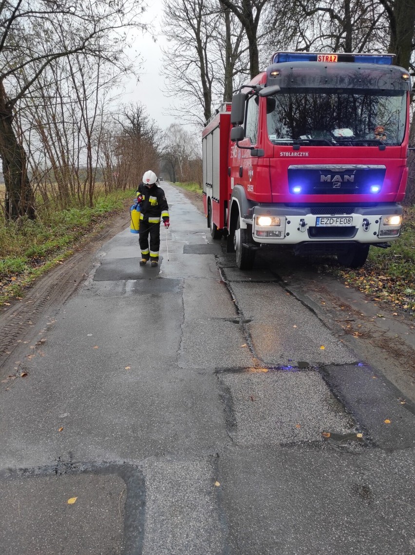 Spokojny tydzień straży pożarnej. Były alarmy czujek czadu