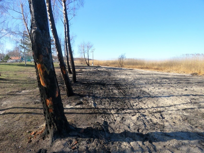 Wielkie sprzątanie w Trzebieży zakończone. Nie ma śladu po spalonej promenadzie