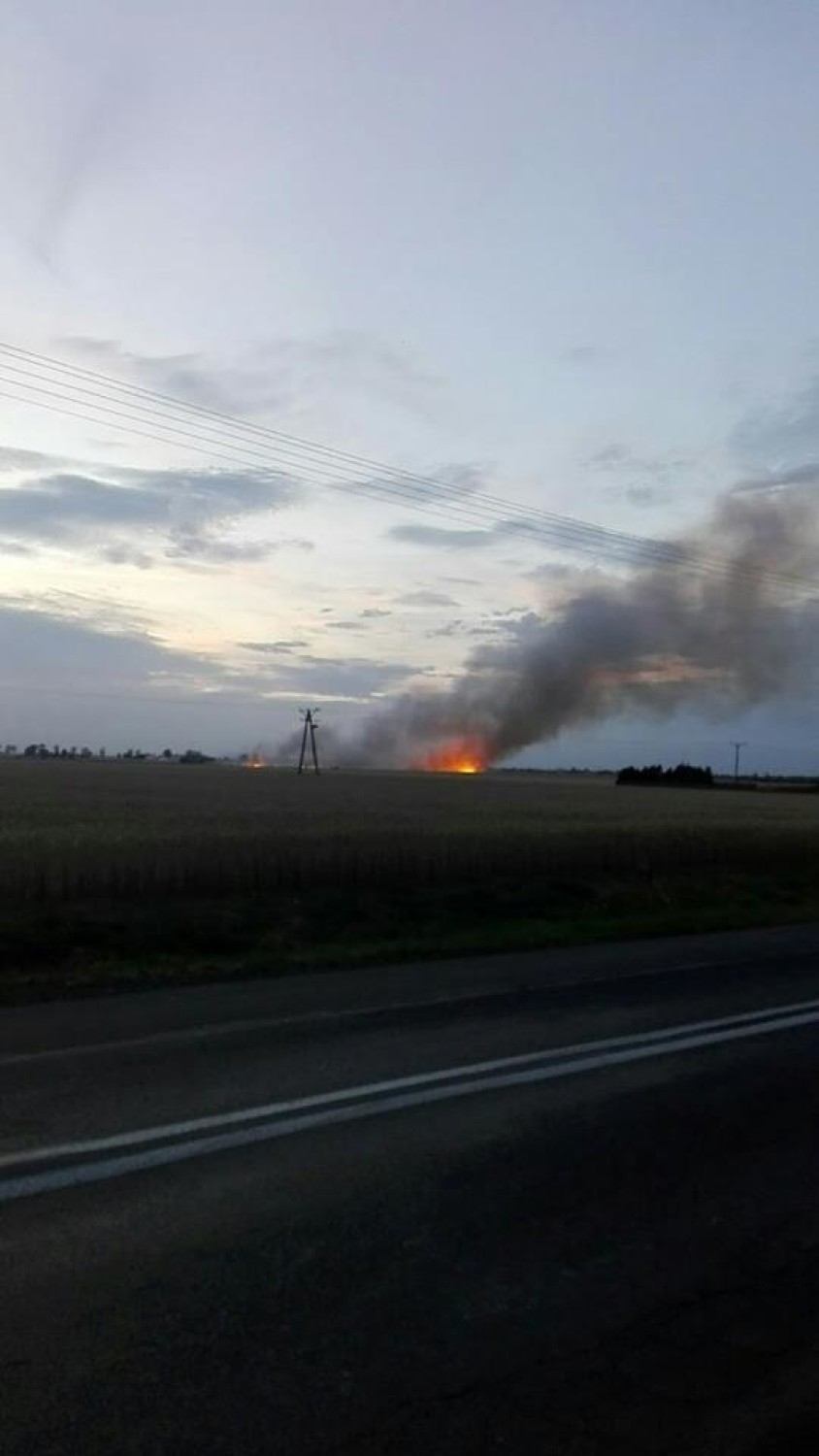Pożar zboża na pniu w gminie Brześć Kujawski i gminie Choceń [zdjęcia, wideo]